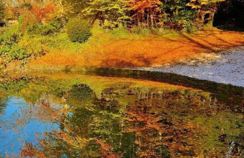 Hayes Suite - Foto 31