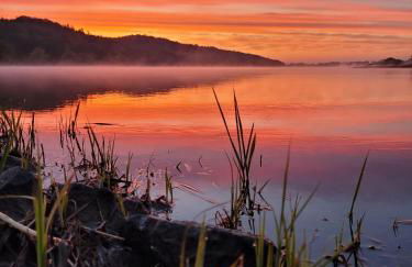 Krötenhof Barförde - Foto 57