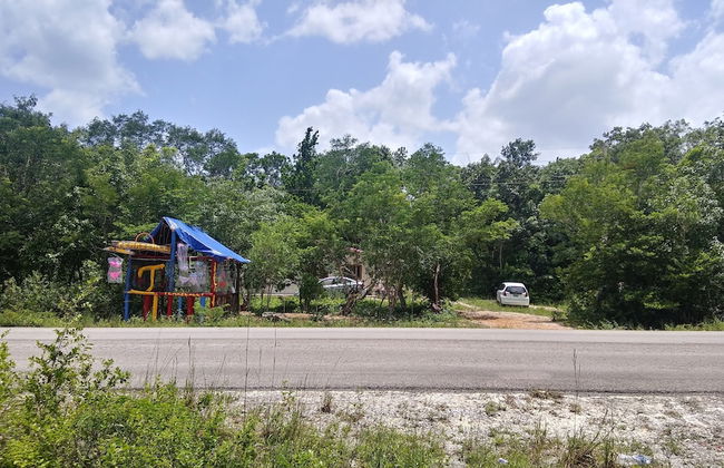 Hotel y Temazcal en Solferino - Foto 70