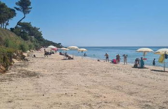 Jungle House - Pineta Is Morus - Foto 71