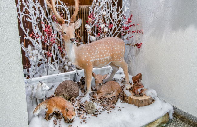 Apartment in Cervinia With Ski Access - Foto 28