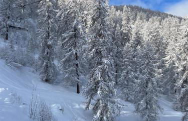 Puy St Vincent 1800 au pied des pistes - Foto 46