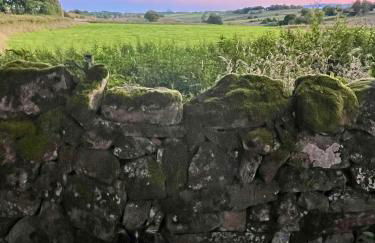 The Barn at Kingston Grange - Foto 25