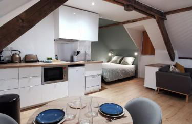 Les appartements du centre, refaits à neuf, climatisés, hyper centre, 50m à pieds des commerces, restaurants, parking gratuit - Foto 3