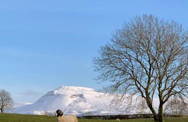 Sunset View one bedroom luxury cottage in an idyllic setting - Foto 50