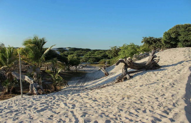 Itinerario di trekking privato da Barreirinhas ad Atins - Foto 6