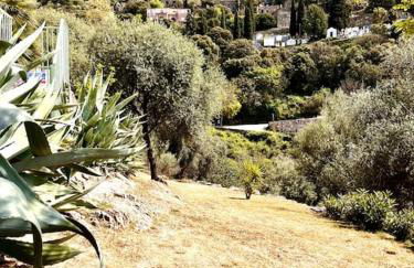 Appartement 2 chambres à Lama avec Piscine - Foto 36