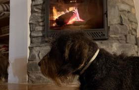 Mirador de Punta Corona - Photo 36