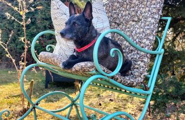 Agroturystyka Zdrowo przez sad - Foto 8