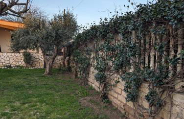 La Villetta del Gelso bianco - Foto 33