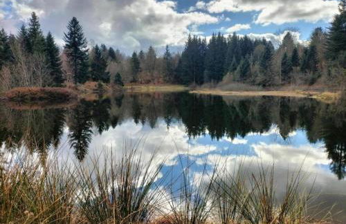 Holiday Home in Vosges with Garden and BBQ - Foto 30