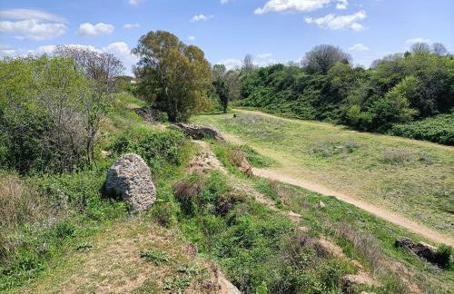 Casa mia Metro A 100mt - Foto 69