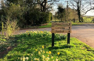 Walltree House Glamping - Glamping experience - Photo 7