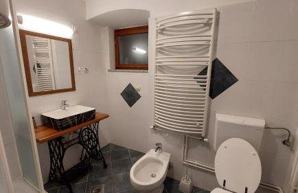 Apartments Villa Kastav in Old town center with sea view and parking - Photo 9