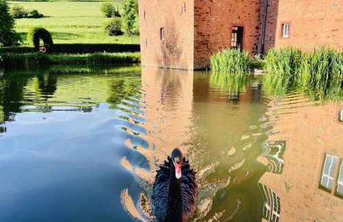 Schloss Adolphsburg im Sauerland - Foto 7