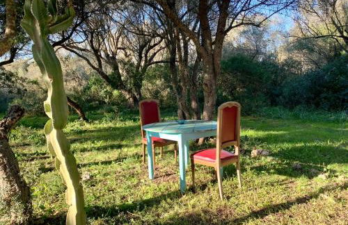 Finca na Pruna Holiday Home - Foto 24