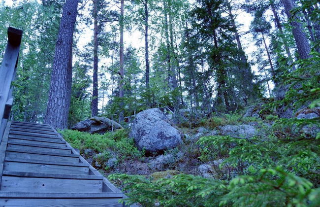 Salkolahti Tontti - Foto 19