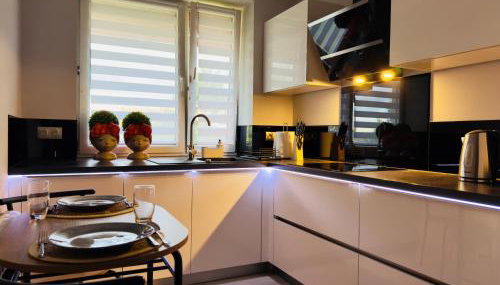 Apartament Pasja - Foto 2, stove, dishwasher, toaster, minibar