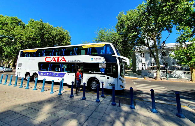 South Luján de Cuyo Wine Region Tour - Photo 2