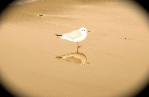 Haus Milena/Jule - Photo 24