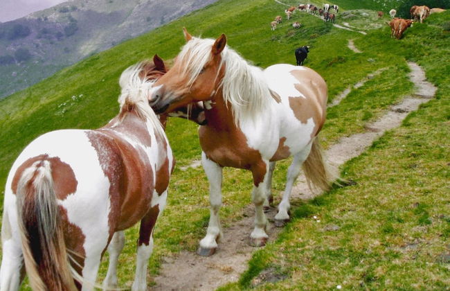 Belvilla by OYO Holiday Home With Garden - Foto 36