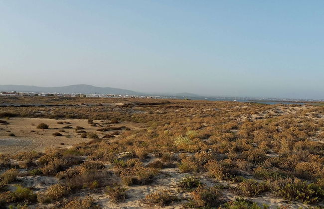 Peaceful Algarve Getaway - Foto 56