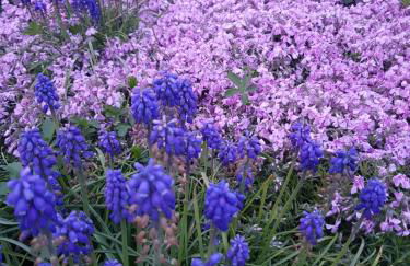 Stilvoll gestaltete "Oase" am Bad Zwischenahner Meer - Foto 33