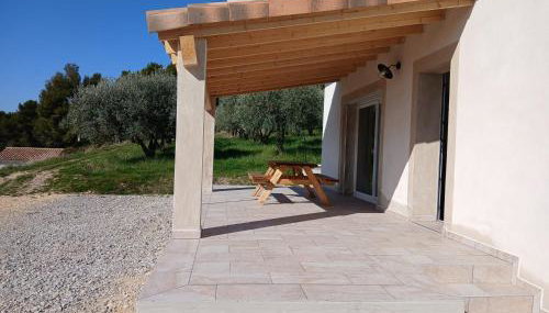 Les oliviers - Foto 4