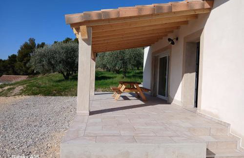 Les oliviers - Foto 4