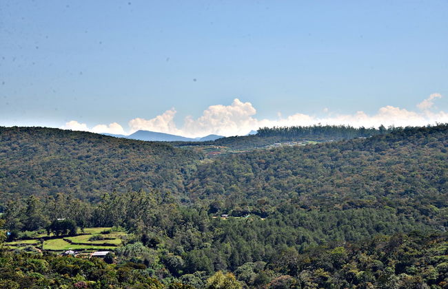 Kingsford Residences - Foto 37