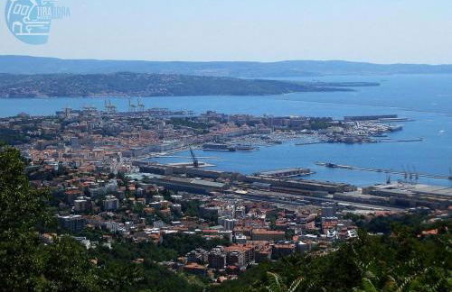 Basovizza 3 Chanel Tirabora Short Rent - Foto 15