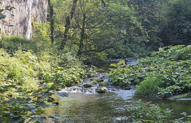 Rose Cottage - Cosy Cottage in Millers Dale - Foto 14