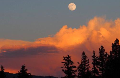 The Basecamp Cabin [RIGHT] at Bison Peak Lodge - Foto 4