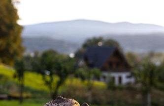 Apartamenty z widokiem na góry w Marczycach - Foto 43