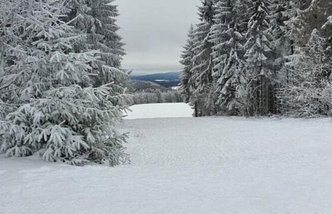 Apartment in Schnett Near the ski Area - Foto 21