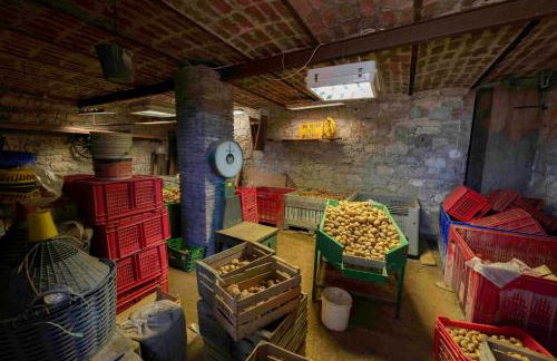 PODERE PRATIZZOLI - Foto 20