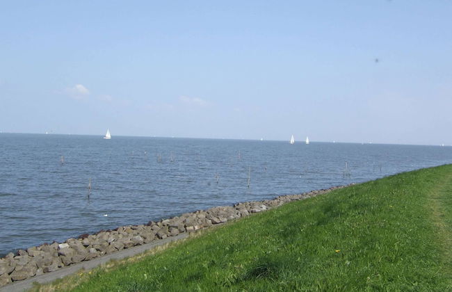 Detached House With Dishwasher Near Hoorn - Foto 34