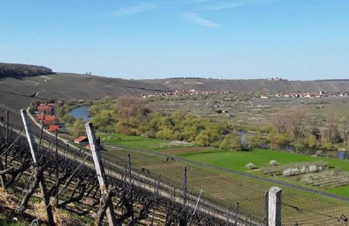 Ferienwohnung - Zimmervermietung Ringelmann - Foto 12