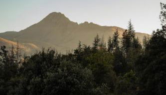 La Paradella - Apartamento de uso turístico - Foto 5