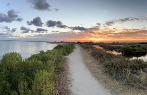 Climatisation, Piscine chauffée, Pétanque, Calme sur le Bassin d'Arcachon - Photo 18