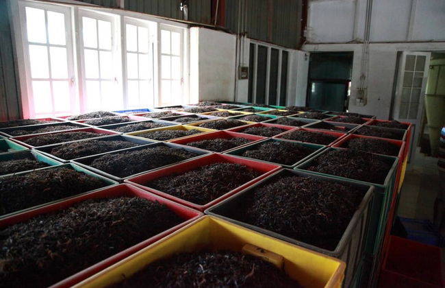 Explore Central Srilanka - Foto 2