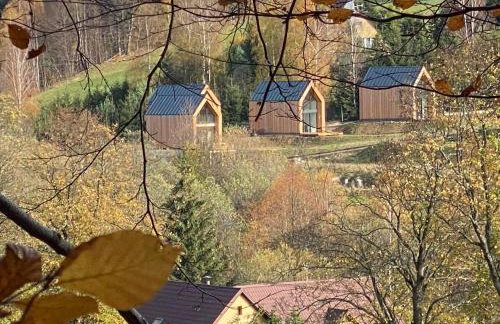 Domki Pod Lasem - Domek Brzozowy - Foto 45