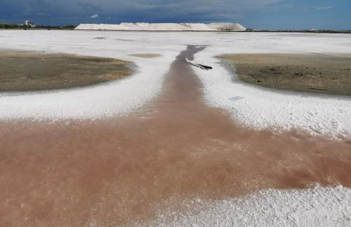 Studios MISTRAL21 en Camargue - Foto 28