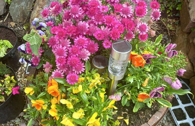 Stunning 1-bed Apartment Valentia Island - Photo 23