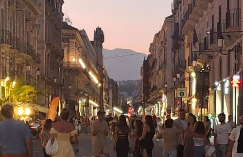 holiday house beautiful flower - Foto 2