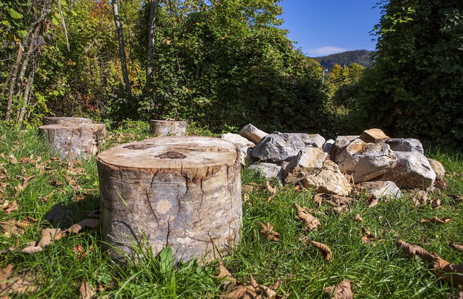 Vucje Brdo in Kolasin - Foto 61