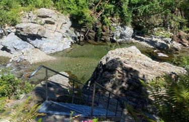 Les Cèdres - Foto 38