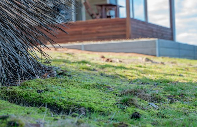 Ecopia Retreat - Foto 5