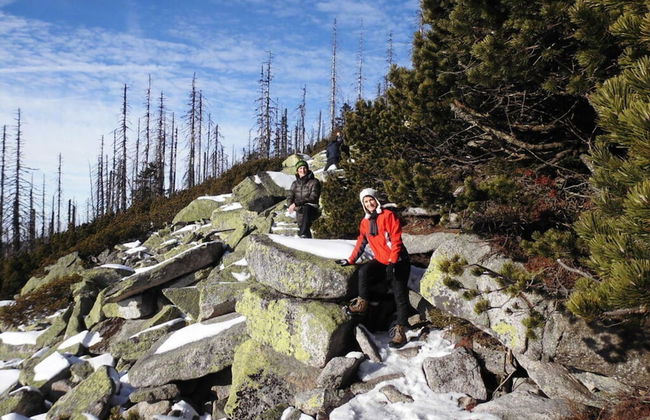 Pleasant Apartment in Bavaria - Photo 7