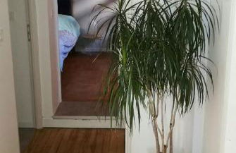 La Citadine maison de ville avec garage - Foto 9